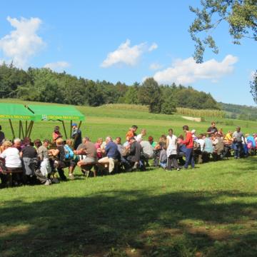 Mlinarjeva pot 14.09.2013 79